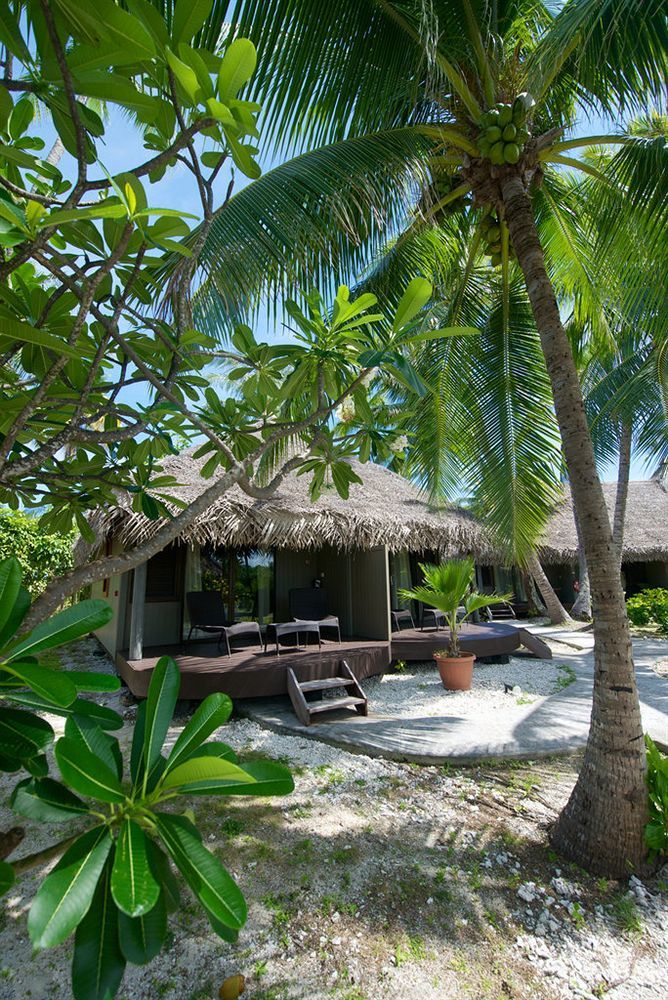 Le Maitai Rangiroa Hotel Аватору Екстериор снимка